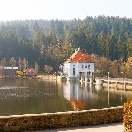 Ferienhaus Nr 6, Typ A, Feriendorf Jaegerpark, Bayerischer Wald Viechtach Exterior photo